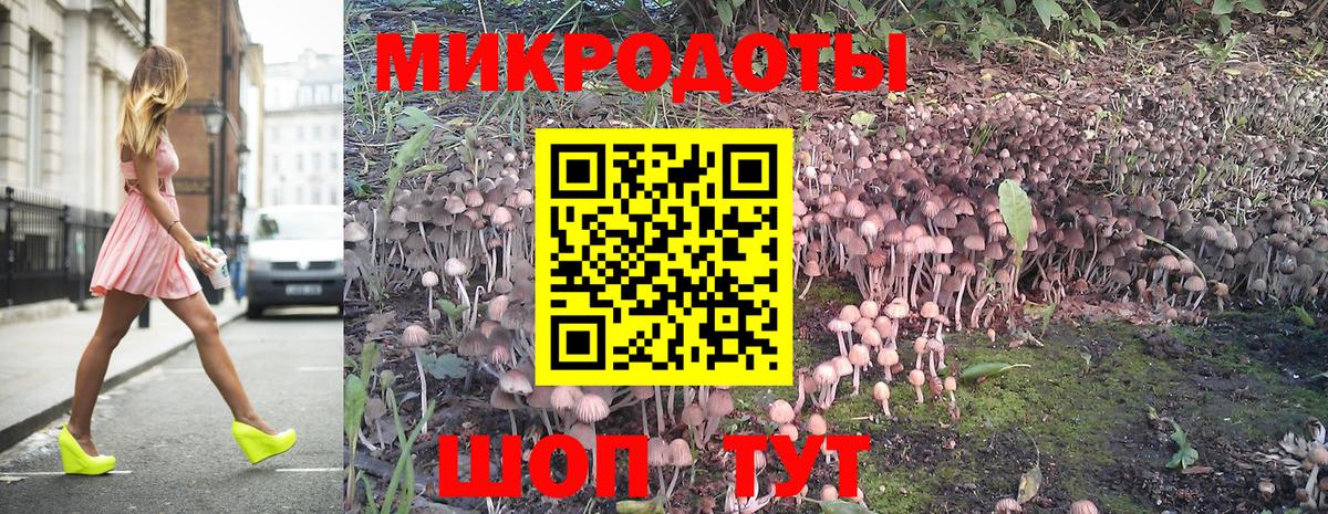 Севастополь  Псилоцибиновые грибы MAGIC MUSHROOMS  Псилоцибиновые грибы Psilocybine cubensis  Вход с VPN 