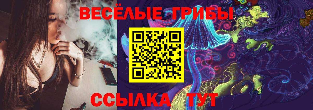 Галлюциногенные грибы Psilocybe Севастополь